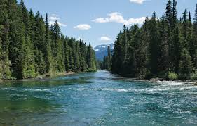 Check spelling or type a new query. Bowron Lake Provincial Park Wikipedia