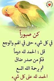 pin by maria trifhat on أدعية و أذكار animals bird parrot
