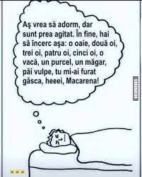 El felino parecía estar listo para un ataque. Poate A Adormit Intr Un Final Funny Quotes Funny Memes Just For Laughs