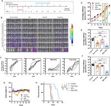 Erythrocyte Leveraged Chemotherapy Elect Nanoparticle