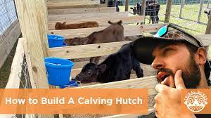Diy How To Build A Calving Hutch - Youtube