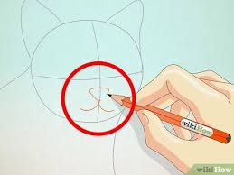After you've observed the reference images, draw the major shapes of the cat. How To Draw A Cat Face 8 Steps With Pictures Wikihow