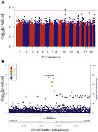 Изучайте релизы barry king на discogs. Genetic Architecture Of Primary Open Angle Glaucoma In Individuals Of African Descent Ophthalmology