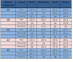 indian blouse sizes rldm