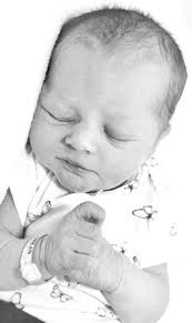 USD 336 interviews principal candidates