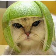 Two of us boiled 16 inches of it into liquid and drank it. No Water From Cactus Sap Or Berries Pc Ark Official Community Forums