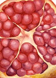 Original Artwork By Jak Pomegranate By Artbyjak On Etsy 90 00 Fruit Artwork Fruits Drawing Close Up Art