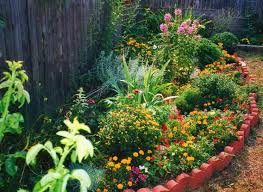 Beautiful Flower Gardens Hummingbird Garden Plan Hummingbird Garden Easy Garden