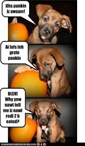 I Has A Hotdog Halloween Funny Dog Pictures Dog Memes Puppy Pictures Pictures Of Dogs Dog Pictures Funny Pictures Of Dogs Dog Memes Puppy Pictures Doge Cheezburger