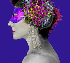 Best Photo Picks October 2017!