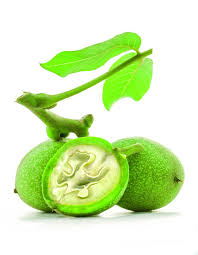 Image result for antraknóza ořešáku