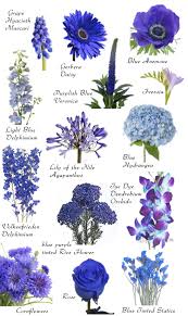 Black And Sky Blue Flowers Image From Https Weddingtips101 Files Wordpress Com 2014 01 Dark Blue Flowers Jpg Flowers Flower Names Blue Wedding Flowers