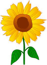 Free Free Clipart Sunflower Flower SVG PNG EPS DXF File