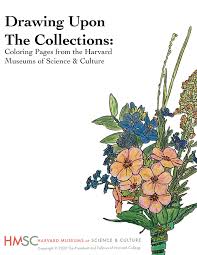 ***we are hoping to get our coloring pages converted to html5 so our online coloring tool may work again, but currently all pages can still be downloaded and printed.***hey all you creative scientists! Drawing Upon The Collections Coloring Pages From The Harvard Museums Of Science Culture Harvard Museums Of Science Culture