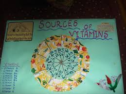 Poster Chart Project On Sources Of Vitamins Smart Indian Women
