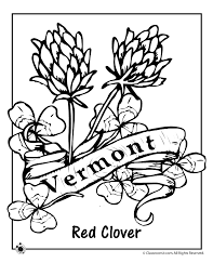 Take a break and color in your state. Vermont State Flower Coloring Page Woo Jr Kids Activities
