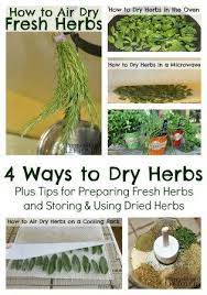 How To Dry Herbs Including How To Prepare Fresh Herbs Air Drying Herbs How To Dry Herbs In A Microwave Oven Drying Her Drying Fresh Herbs Drying Herbs Herbs