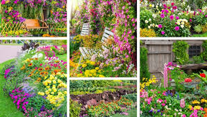 Whether you're a new gardener or have years of experience, find ideas, inspiration. 40 Colorful Flower Garden Ideas Color Bursts For Inspiration My Desired Home