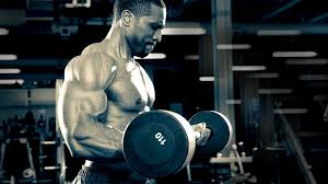 How much money does more plates more dates make? Biceps And Triceps Exercises For The Ultimate Arm Workout
