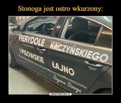 Śmieszne fotki, memy i dobre demotywatory w jednym miejscu. Stonoga Jest Ostro Wkurzony Obrazkowo Pl Najlepsze Memy W Sieci