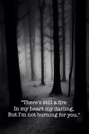Birdy Let It All Go Lyrics Meaning Let It All Go Rhones Birdy Dark Forest Dark Photography Photography
