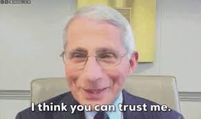 Go on to discover millions of awesome videos and pictures in thousands of other categories. Anthony Fauci Gifs Get The Best Gif On Giphy