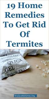 19 Home Remedies To Get Rid Of Termites This Guide Shares Insights On The Following How To Get Rid Of Termites O Termite Repellent Termites Drywood Termites