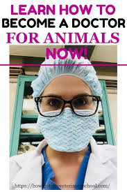 What Helped Riley Get Into Two Vet Schools On Her First Try Vet School Biology Jobs Veterinary School