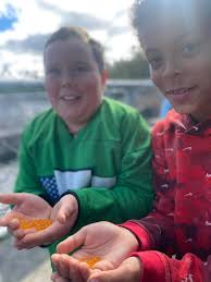 Rogers City Area Schools added...