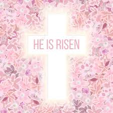 Flower pink background vector art. He Is Risen Bible Quote Holy Cross On Pink Flower Background Carnation Crane S Bill Or Meadow Geranium Wildflower Violet Vector Floral Collection Design For Invitation Or Greeting Cards Royalty Free Cliparts Vectors And