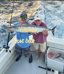 Freddy Collins (@freddycollins79) • Instagram photos and videos