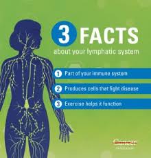 Normal lymph nodes are too small to feel with your fingers. Exercise And The Lymphatic System Md Anderson Cancer Center