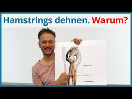 Players can make hamstring attempts if they have at least 2 skills above 80 from the following skills: Hamstrings Dehnen 4 Yoga Ubungen Beine Inkl Anatomie Gegen Ruckenschmerzen Youtube