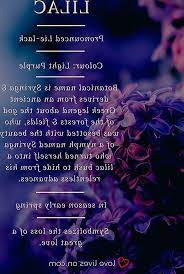 Light Meaning Light Purple Lilacs Symbolize The Loss Of A Great Love Making It Great Light Lilacs Loss L Funeral Flowers Lit Meaning Sympathy Bouquets