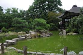 Japanese Bonsai Garden Japanischer Bonsaigarten Ferch 2020 All You Need To Know Before You Go With Photos Tripadvisor