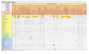 21 free raci chart templates template lab