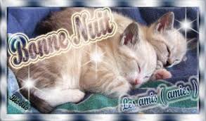 Résultat de recherche d'images pour "gif chatbonne nuit"