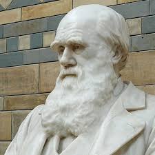 5 things you never knew about Charles Darwin