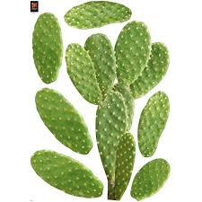 Sticker Cactus El Paso 48 Cm X 68 Cm Leroy Merlin En 2020 Deco Stickers Sticker Carrelage Stickers Muraux