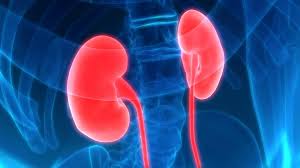 Nephritis Types Causes And Symptoms