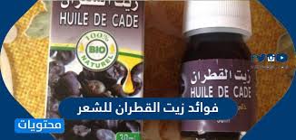 فوائد زيت القطران للشعر جابر القحطاني موقع محتويات