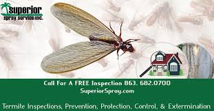 Our four seasons approach is a proactive program addressing the changes in pest behavior from season to season. Freetermiteinspection Hashtag On Twitter
