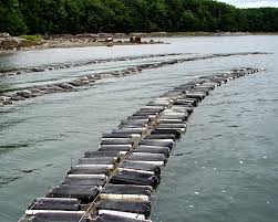 The businesses listed also serve surrounding cities and neighborhoods including brooklyn ny , new york ny , and bronx ny. Oysters Maine Aquaculture