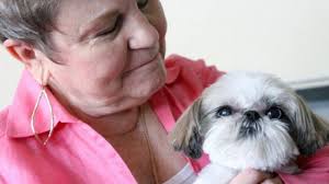 Un perro shih-tzu salva a una mujer que padecía cáncer de mama