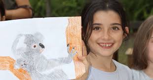 Queensland Koala Crusaders Fundraising