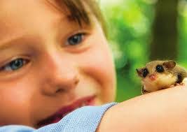 Kim Picone's Instagram, Twitter & Facebook