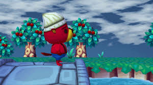 Pin By Diana ن On Animal Crossing Animal Crossing Animal Crossing Wild World Animal Crossing Gamecube