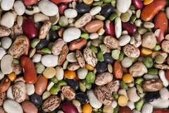 Image result
