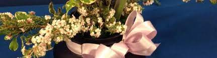 Blossomflowerdelivery.com has been visited by 10k+ users in the past month Mary Jane S Flowers Newaygo Area Alignable