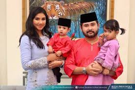 Putera pertama dari sepuluh (10) orang adik beradik, baginda mula menerima pelajaran di taman didikan. Johor Sultan Appoints His Grandson As Raja Muda The Star
